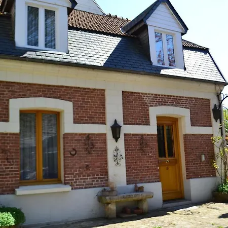 Coq Montreuil (Pas-de-Calais)
