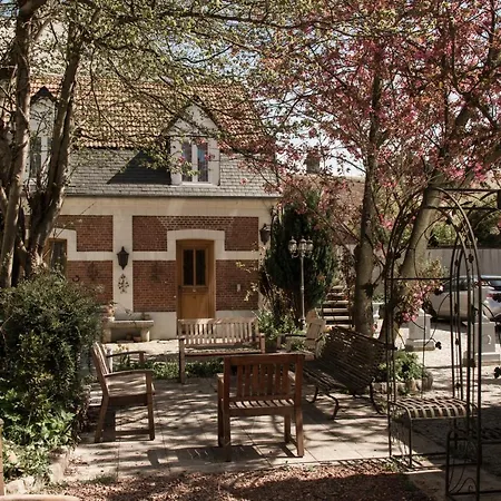 Coq Montreuil (Pas-de-Calais)
