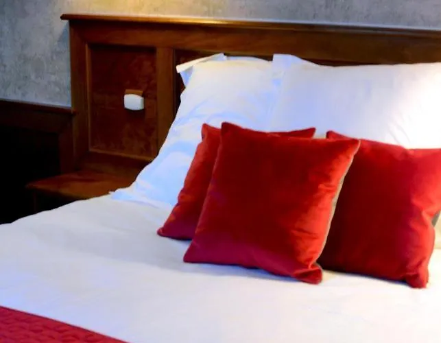 Coq Montreuil (Pas-de-Calais)